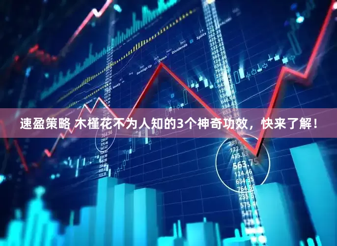速盈策略 木槿花不为人知的3个神奇功效，快来了解！