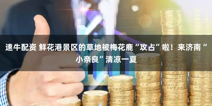 速牛配资 鲜花港景区的草地被梅花鹿“攻占”啦！来济南“小奈良”清凉一夏